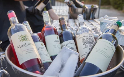 Les 40 ans du Mas Jullien